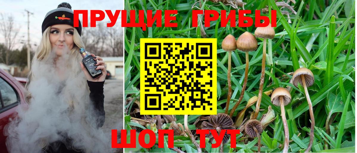 где можно купить наркотик  Псилоцибиновые грибы GOLDEN TEACHER  Бирск  Вход с VPN  Псилоцибиновые грибы ЛСД 
